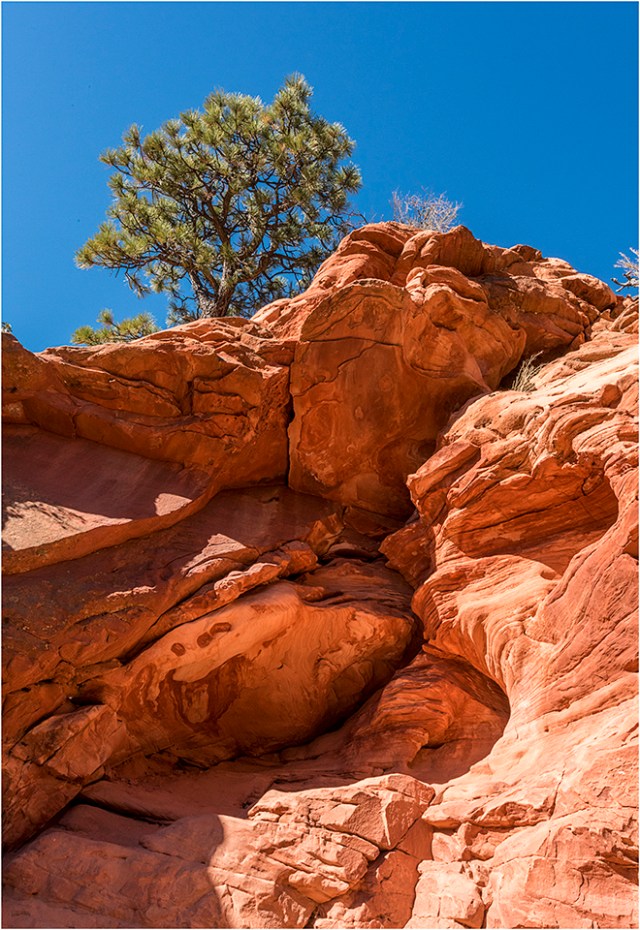 Red glowing sandstone cliffs and sparse vegetation 