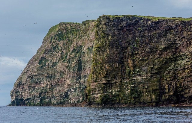 Cliffs of the Isle of Noss