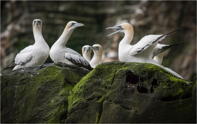 With landing rights challenged, spectators at rear wait for the outcome. 